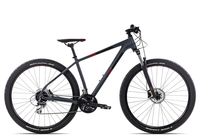 Axess DEBRIS 2022 29 Zoll grey matt/black/red 23 Zoll Radgröße 23 Zoll grey matt/black/red 29 Zoll
