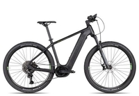 Axess Element black matt/darkrainbow/green 19 Zoll E-Hardtail-Mountainbikes