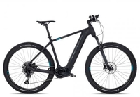 Axess Element black matt/rainbow/turquois 17 Zoll E-Hardtail-Mountainbikes