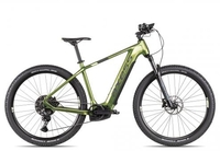 Axess Element metallic olive/dark grey 19 Zoll E-Hardtail-Mountainbikes