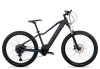 Axess Element 2020 16 Zoll grey matt 27.5 Zoll Radgröße 16 Zoll grey matt 27.5 Zoll