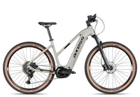 Axess Element WS moss grey matt/black/pearl white 17 Zoll E-Hardtail-Mountainbikes