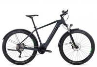 Axess Force Allroad darkgrey black green 16 Zoll E-Hardtail-Mountainbikes