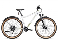 Axess LEENA EQP satingrey olive 17 Zoll Hardtail-Mountainbikes