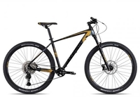 Axess PRIDE satinblack gold grey 19 Zoll Hardtail-Mountainbikes