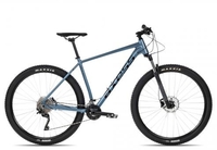 Axess ROGUE blue 19 Zoll Hardtail-Mountainbikes