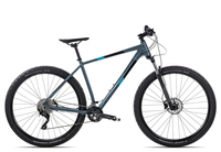 Axess ROGUE 29 2021 17 Zoll grey/black/turquoise 29 Zoll