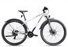 Axess RYSE EQP satingrey black 19 Zoll Hardtail-Mountainbikes