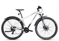 Axess RYSE EQP satingrey black 19 Zoll Hardtail-Mountainbikes