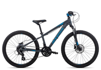 Axess Stipe MTB PRO 24 2020 31 cm grey blue 31 cm grey blue