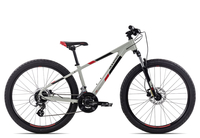 Axess STIPE PRO 26 2022 26 Zoll grey/black/red 13 Zoll Radgröße 13 Zoll grey/black/red 26 Zoll