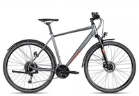 Axess VERIS STREET grey 54 cm Crossräder
