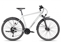 Axess VERIS STREET matt grey 54 cm Crossräder