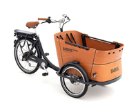 Babboe Curve-E 7K RB/HD 450 50 cm braun 50 cm braun