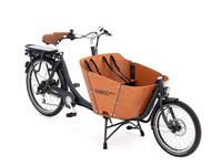 Babboe Mini-E 7K RB/HD 400 50 cm braun 50 cm braun