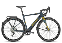 Bergamont E-Grandurance RD Expert 2022 53 cm dark petrol/gold 28 Zoll