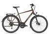 Bergamont Horizon 6 Herren 2020 52 cm brown/black/warm silver matt 52 cm brown/black/warm silver matt