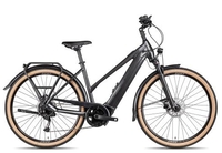 Bulls Cross Lite Evo 1 Trapez silber M E-Trekkingräder