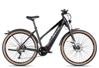 Bulls Cross Rider Evo 1 Trapez schwarz M E-Trekkingräder