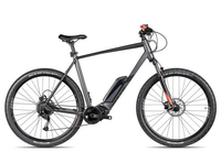 Bulls LT CX 29 grau 60 cm E-Hardtail-Mountainbikes