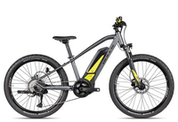 Bulls Twenty 4 E grau S E-Hardtail-Mountainbikes
