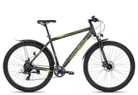Ciclista Adventure 29 Disc bizzgreen-matt black apple 48 cm Fahrräder