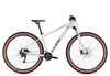 Cube Access WS EXC 2023 lightgrey´n´rose L Hardtail-Mountainbikes