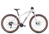 Cube Access WS EXC 2023 lightgrey´n´rose M Hardtail-Mountainbikes