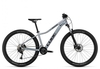 Cube Access WS PRO 2023 galactic´n´black S Hardtail-Mountainbikes