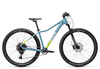 Cube Access WS SL 2021 17 Zoll greyblue´n´lime 29 Zoll