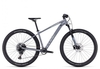 Cube Access WS SLX 2023 grey´n´silver L Hardtail-Mountainbikes