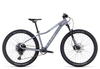 Cube Access WS SLX 2023 grey´n´silver S Hardtail-Mountainbikes