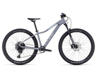 Cube Access WS SLX 2023 grey´n´silver S Hardtail-Mountainbikes