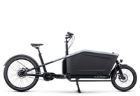 Cube Cargo Hybrid 500 flashgrey´n´black unisize E-Lastenräder