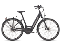 Diamant Beryll Deluxe+ FL Wave 2021 60 cm tiefschwarz 28 Zoll