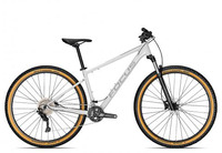 Focus WHISTLER 3.8 litegrey 46 cm Hardtail-Mountainbikes