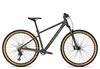 Focus Whistler 3.9 2023 diamond black 38 cm Hardtail-Mountainbikes