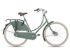 Gazelle Classic R3T Wave 2025 moss green matt 57 cm Hollandräder