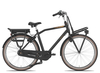 Gazelle Heavy Duty NL C7 HMB Herren 2019 49 cm schwarz 49 cm schwarz