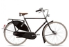 Gazelle Tour Populair T8 2025 black 61 cm Hollandräder