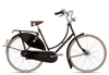 Gazelle Tour Populair T8 Wave 2024 schwarz 51 cm Hollandräder