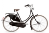 Gazelle Tour Populair T8 Wave 2025 schwarz 57 cm Hollandräder