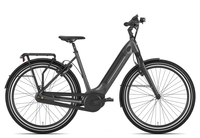 Gazelle Ultimate C8+ HMB H8 Wave 2021 49 cm desert titanium grey 28 Zoll