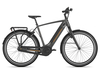 Gazelle Ultimate C8+ HMB Herren 2020 53 cm desert titanium grey 53 cm desert titanium grey