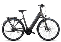 Kalkhoff IMAGE 5.B BELT Wave 2020 53 cm atlasgrey matt 53 cm atlasgrey matt