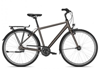 Kalkhoff IMAGE LITE 2024 crystalgrey matt 55 cm Cityräder
