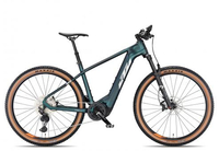 KTM Macina Team 791 2024 green purple flip matt/silver 53 cm E-Hardtail-Mountainbikes