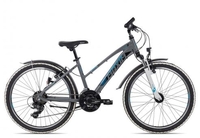 Maxim Sporty 21 24 Trapez soul grey 36 cm Fahrräder
