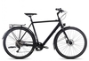 Rabeneick TC-E Deore schwarz matt 50 cm E-Cityräder