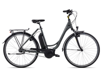 Raleigh Cardiff LB 57 cm techgreen matt 28 Zoll
